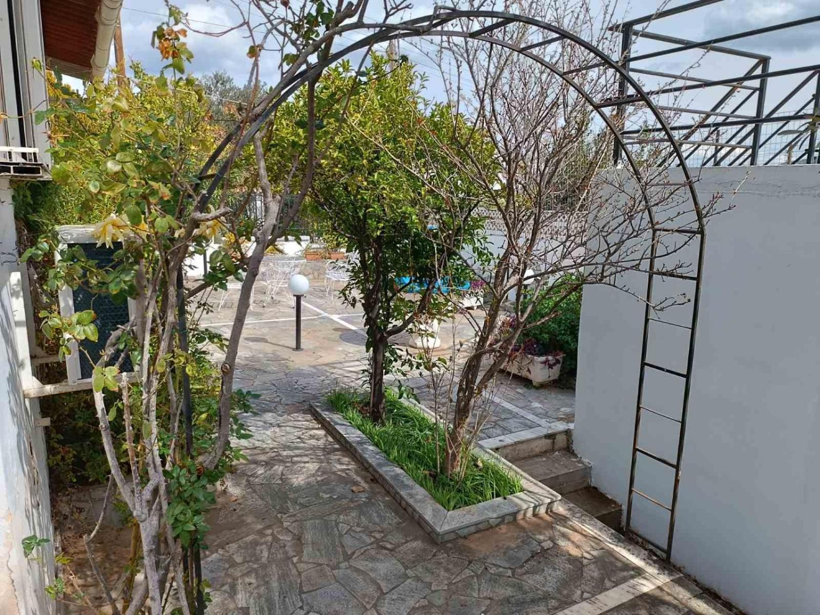 Oli'S Sea House Villa Salamís Dış mekan fotoğraf